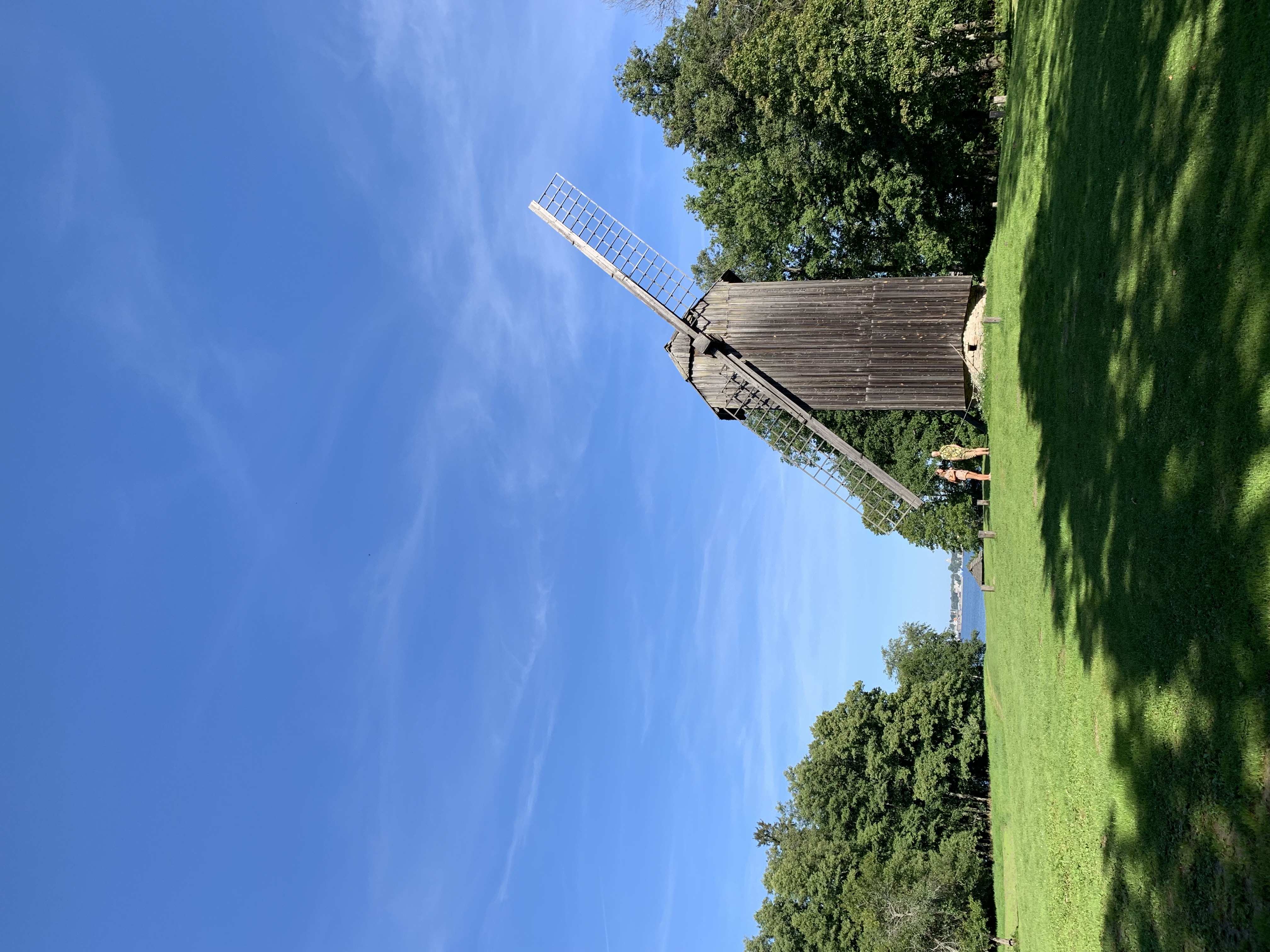 Moulin