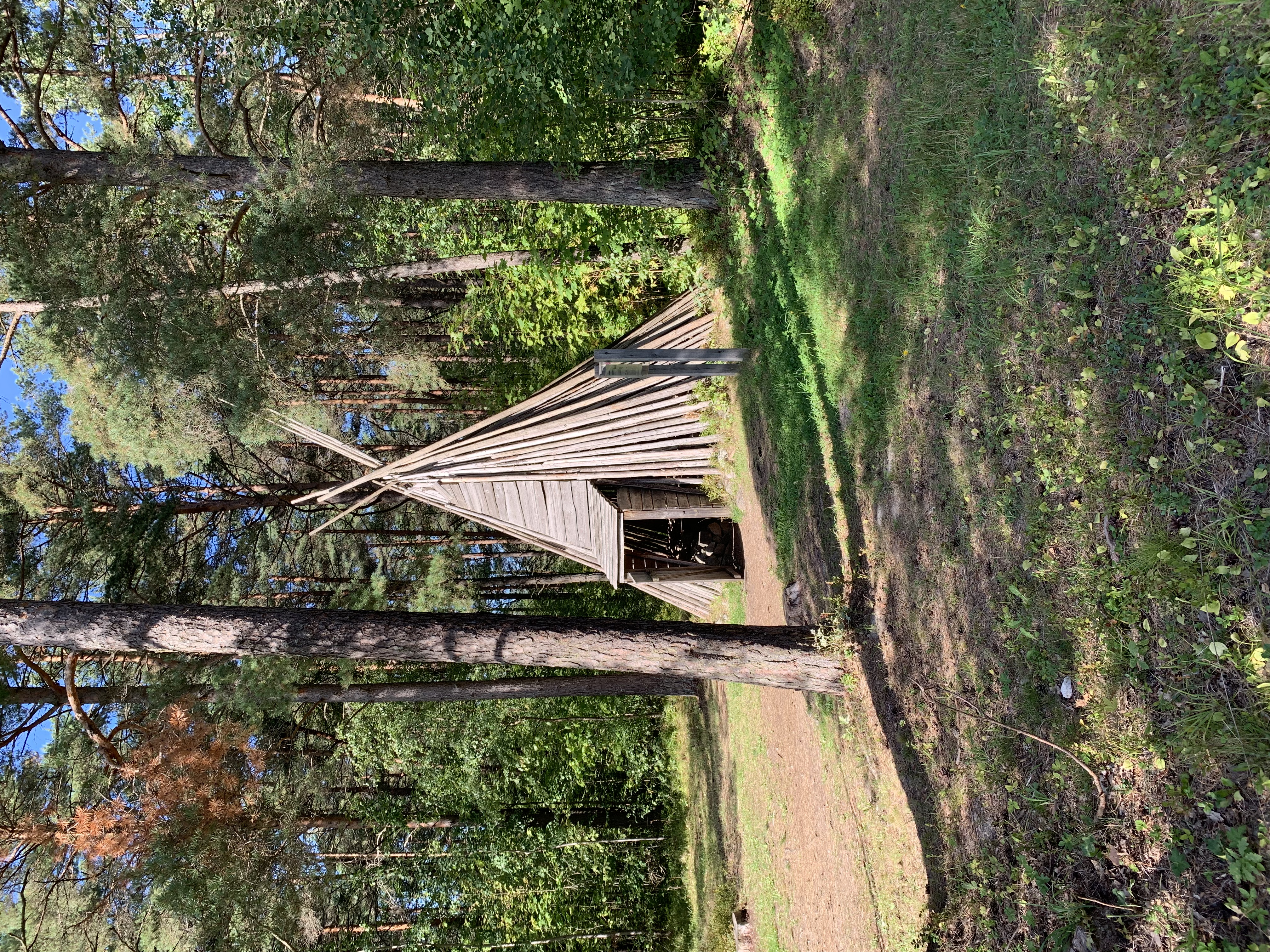 Tipi