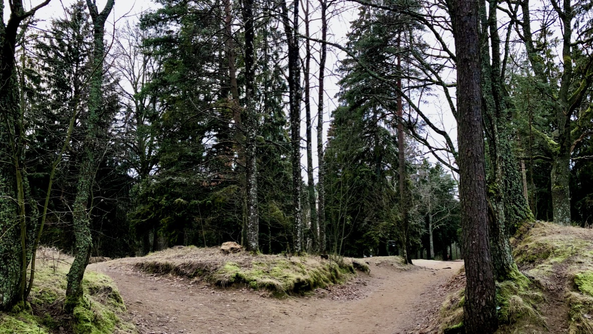 Path