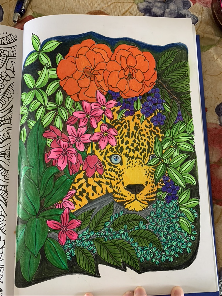 Dessin jungle