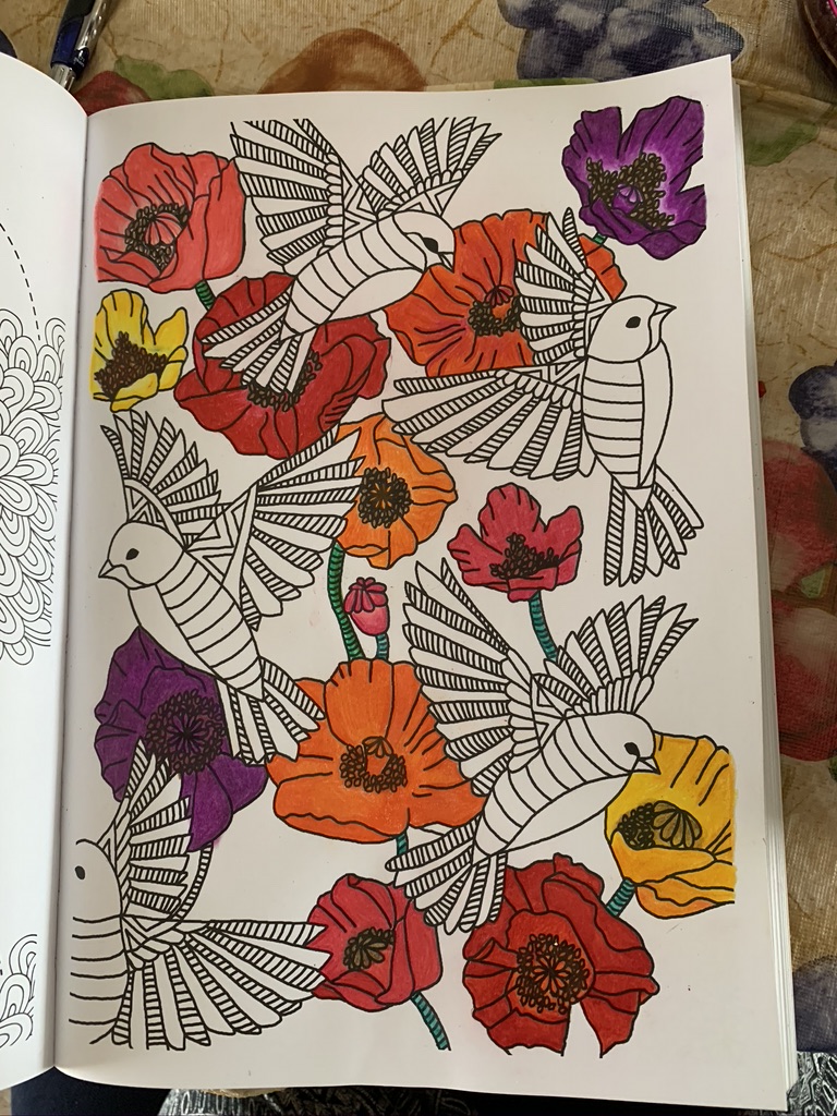 Dessin oiseaux