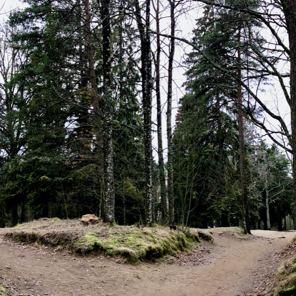 Path