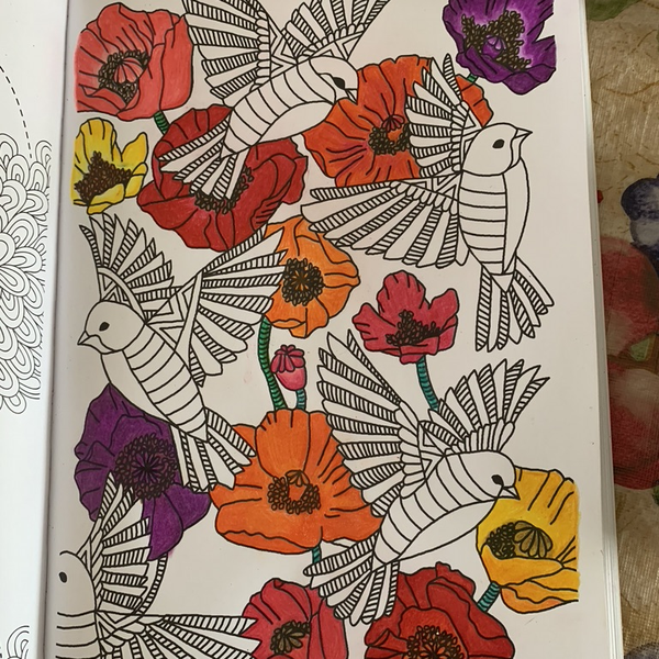 Dessin oiseaux