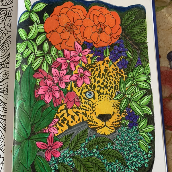 Dessin jungle